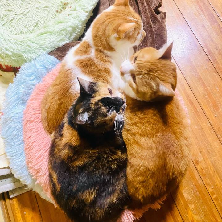 3d2aad53 a8bd 4e8e 8223 5f1eb8458e3a 1704185414200