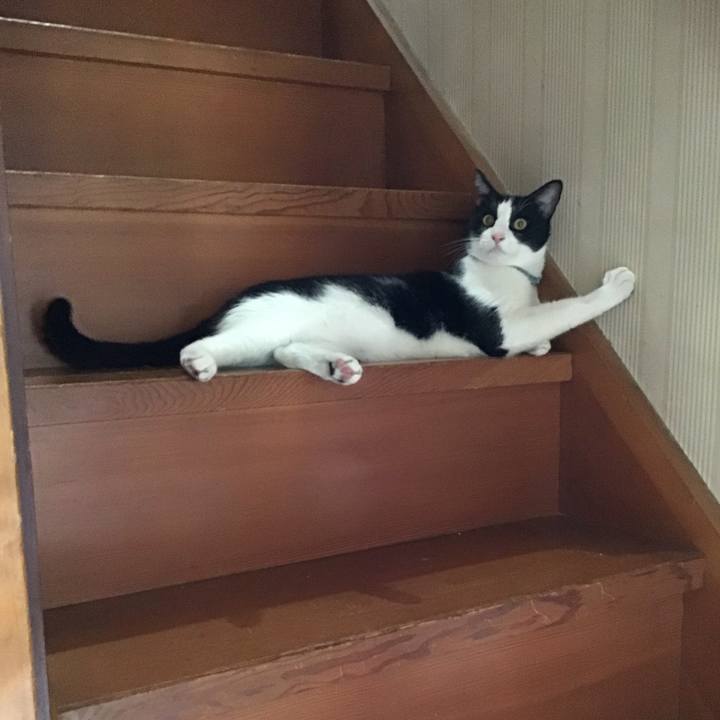 3d2ae728 18e9 4e68 9bcb 214a0230450e 1661490255055