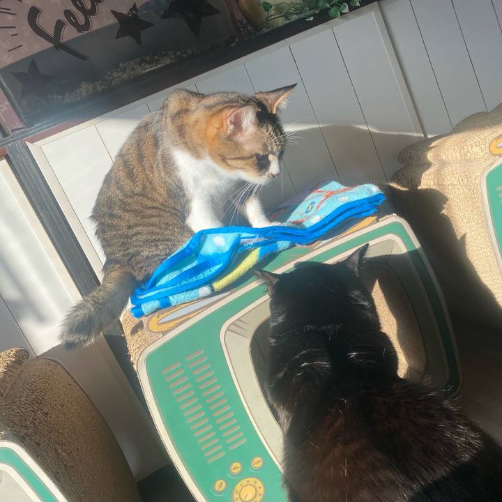 3d2b0851 4995 4682 8d97 966f8ce91c0f 1640274505252