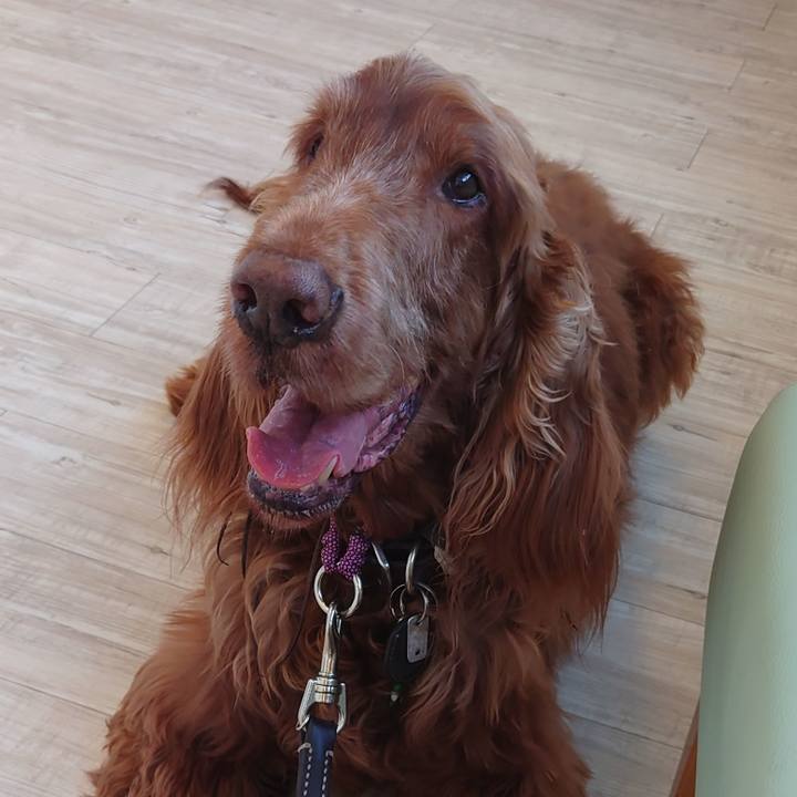 3d2b1972 2997 4399 98d0 9a51b1a4b5ec 1617100503451