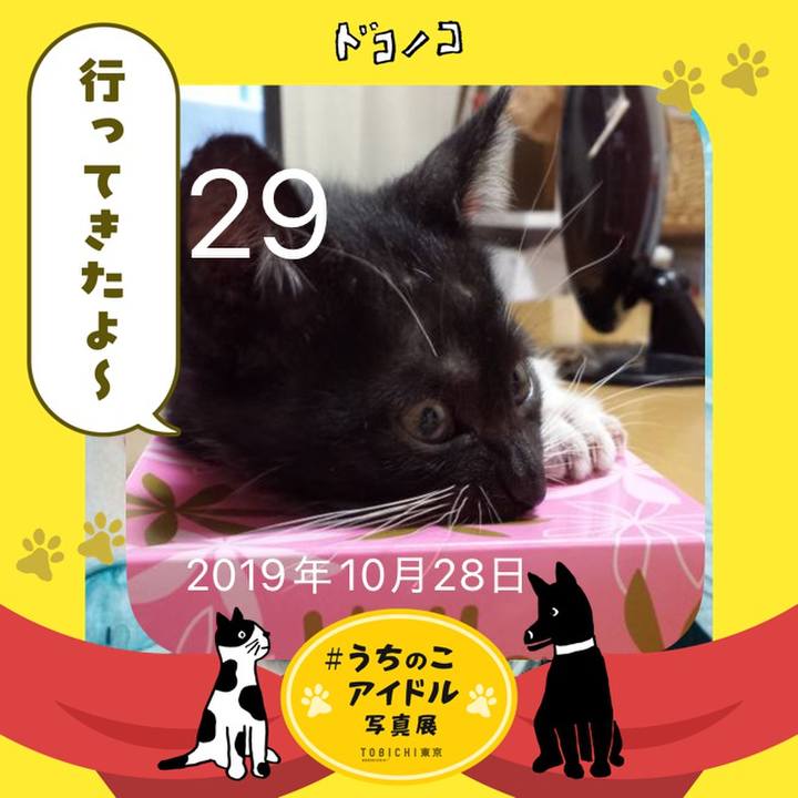 3d2b1ee1 43a3 4b2e ab9f 195c831f435d 1761686564371