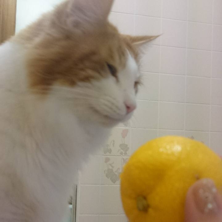 3d2b46d4 a741 46a6 8ecf d93f70480204 1513943440890