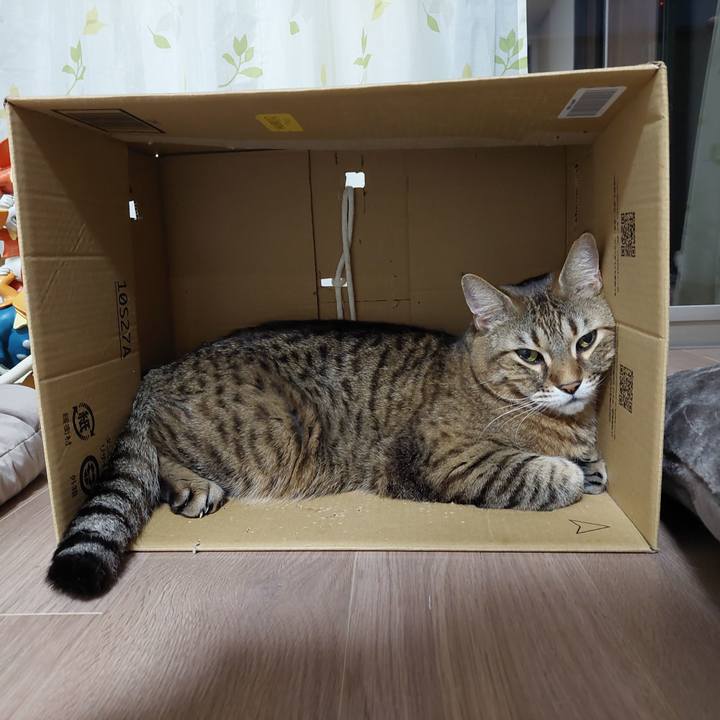 3d2b51b2 3c39 4808 9cc2 f1bd14cedc49 1647894276764