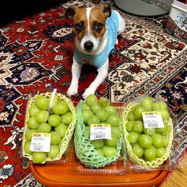 3d2ba337 bb79 48a4 a67a 89013b88831f 1601093668977