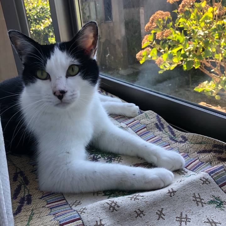 3d2bb91d 444f 472e a87b d358993286cf 1570930035790