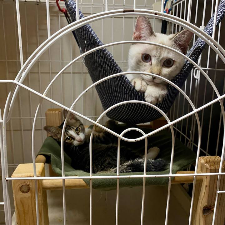 3d2be0da a565 4267 9daf 0b169eb1f367 1634031242141