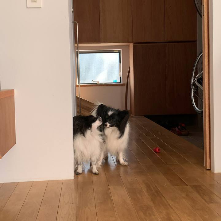 3d2bf592 15a9 44e4 864d 7735d9b24610 1546409815650