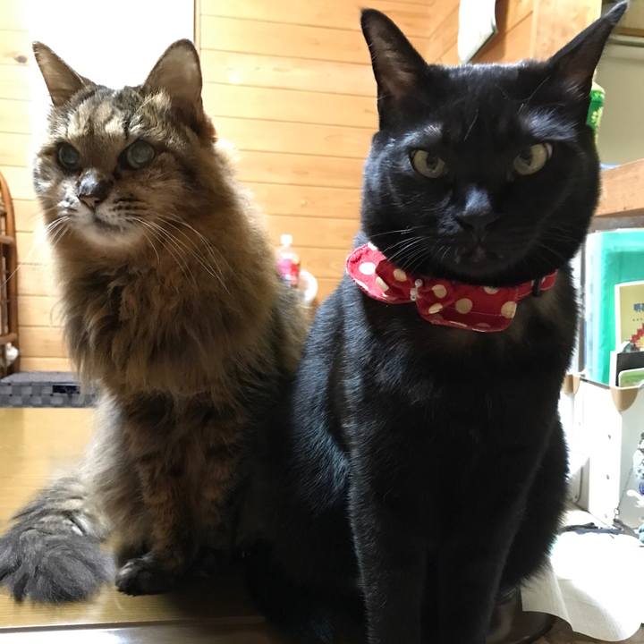 3d2c1fd3 1038 47e0 ad5d 678f5aa5a12d 1511614062662