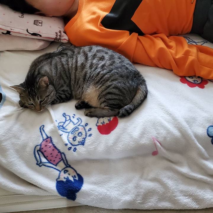 3d2c3cca 3592 44a3 817a bb440e8be4d0 1721367996249