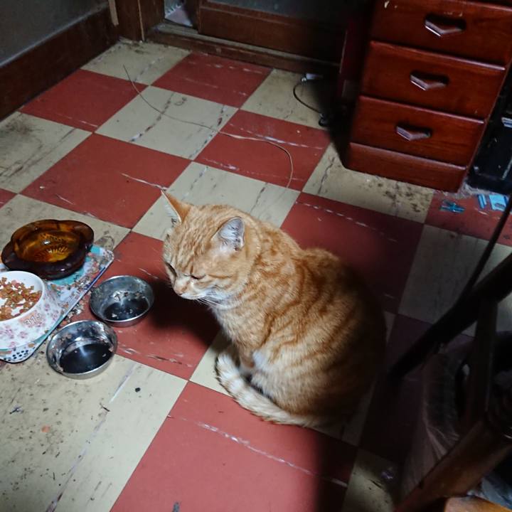 3d2c665f 63f7 43b2 ba20 5c064ae422f6 1581886124212