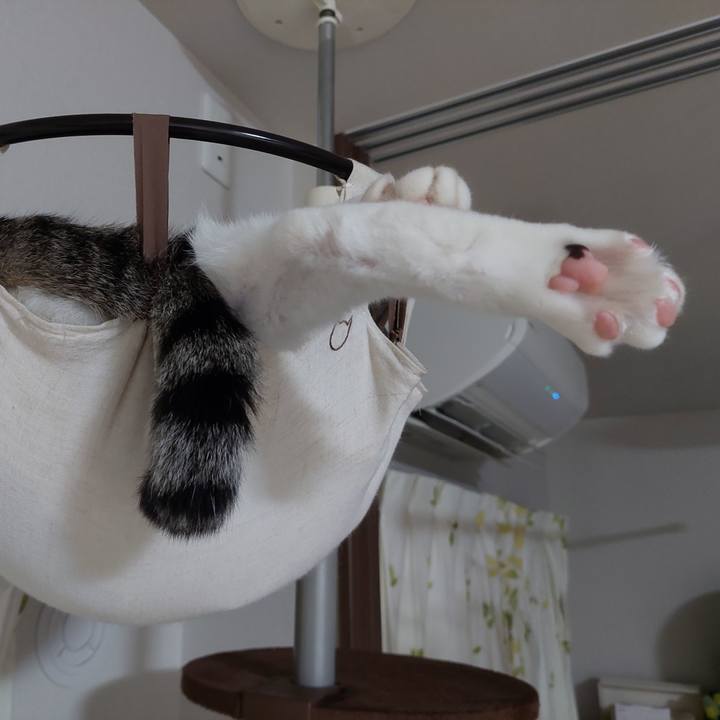 3d2cbc55 7041 4f42 bca2 8c8cc00f151a 1661686979647