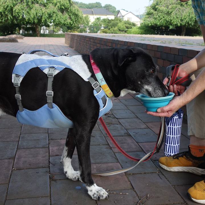 3d2d3540 6e63 4822 a5b0 682a55dea983 1752105018944