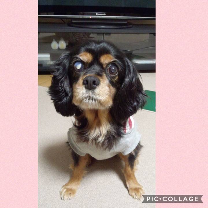 3d2d4186 af80 4c31 a48b b108767607a6 1541748801566