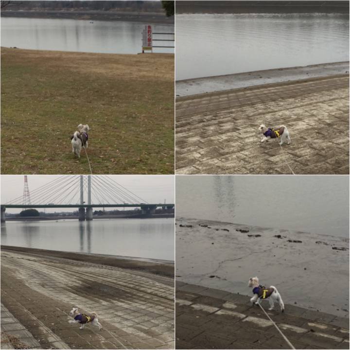 3d2d4efd 282f 422b 9ff1 bed6e841d57b 1517647179501