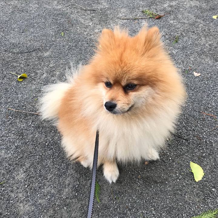 3d2d6ba3 52d5 4522 a3ba 3ea1707ac422 1508822551544