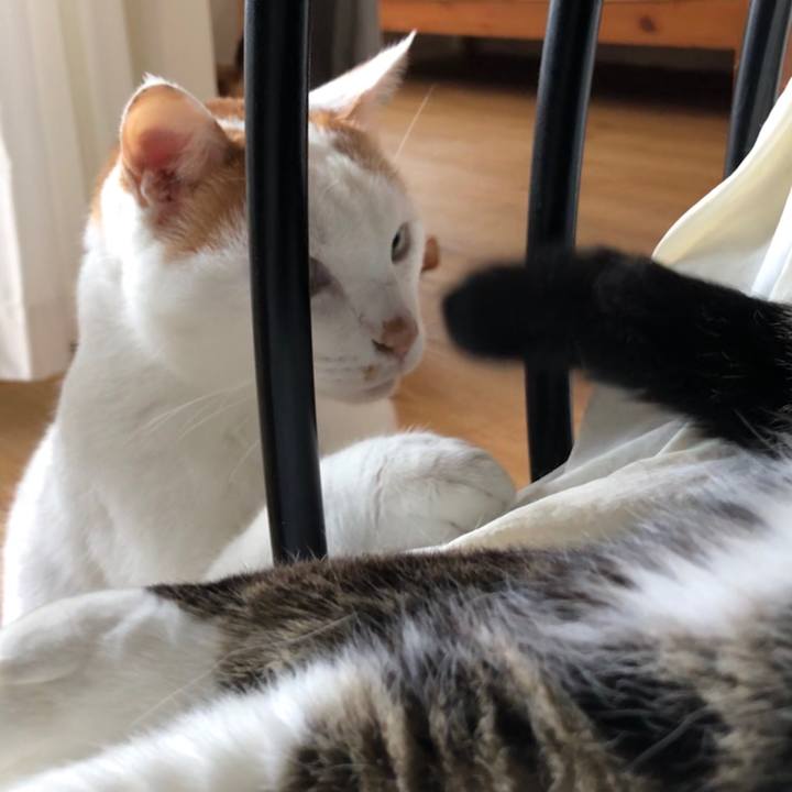 3d2daf28 c648 4b38 b768 73d9a4373f32 1596064987293