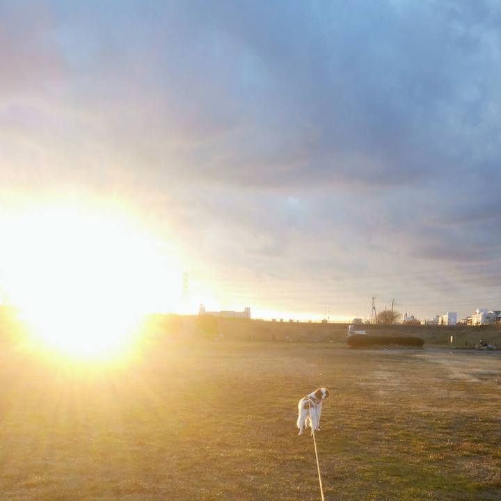 3d2db16d 24d9 476d a2cf 11ed4e2fe79c 1549020225270