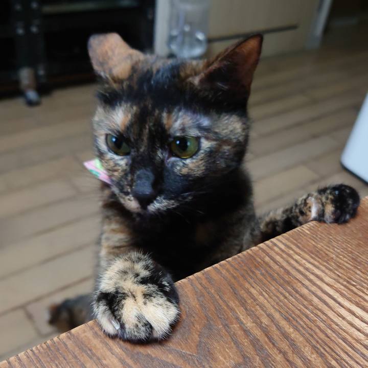 3d2db1cd cd82 434f 8ecc f1a08509ebf5 1616920321877