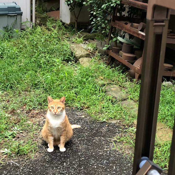 3d2dc2dd a084 421b 8941 4ec1dada5280 1533708698516