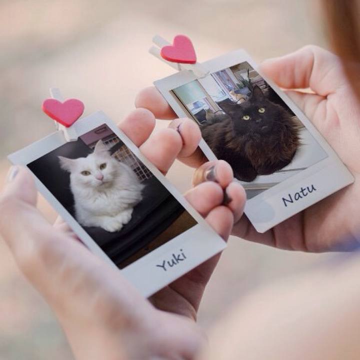 3d2dc83c cc6b 4833 a672 6c3094b7e986 1514168959947