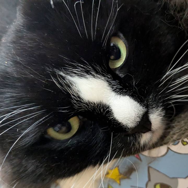 3d2dcb58 3359 4590 b1e3 a2a1aa1f5eb5 1772279403557