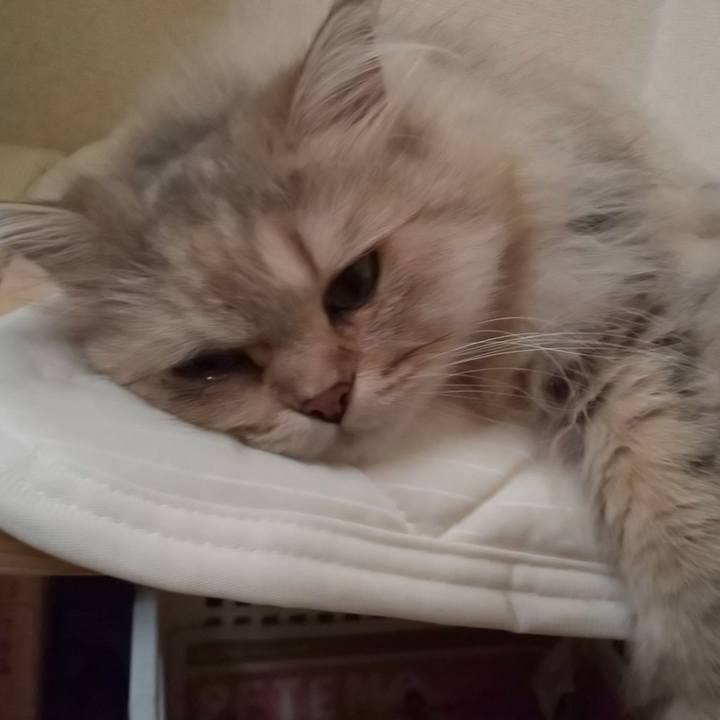 3d2df8de 67a6 4f7c b3c4 edae99506eee 1600483723873