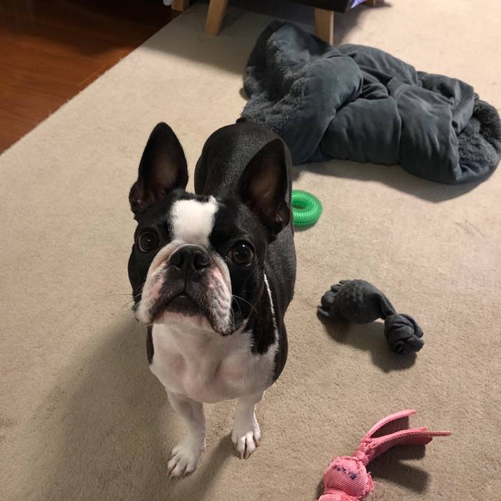 3d2e1679 f9b8 42b8 84e1 e40d44d4b632 1597221805222