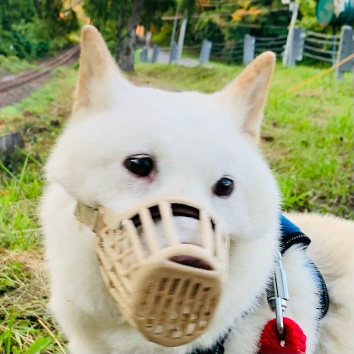 3d2e32a8 ff4b 4a39 91c8 e269e42faf8c 1661114826201