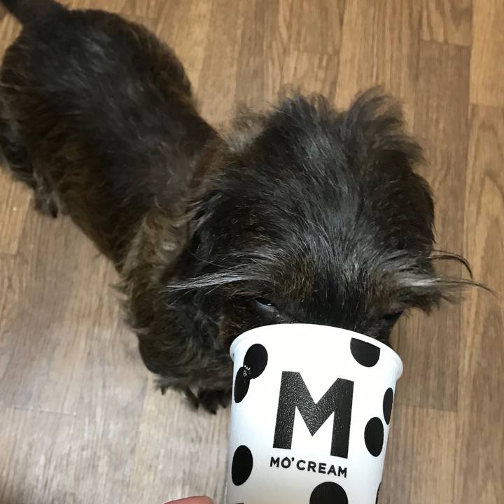 3d2e33b0 a023 44b5 8443 0e0b0a6af48b 1557132473915