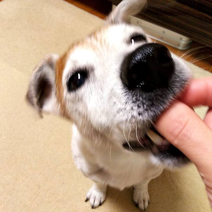 3d2e4928 4ff8 4d46 9525 a43d4fd5f3be 1594213587310