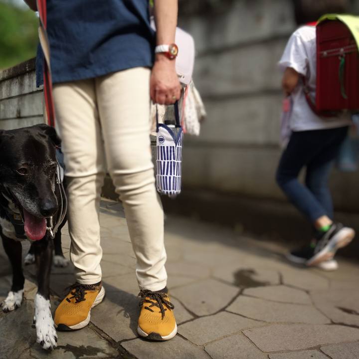 3d2e60c0 6256 4ee3 bdcb 2cf8aca4509f 1749431430790