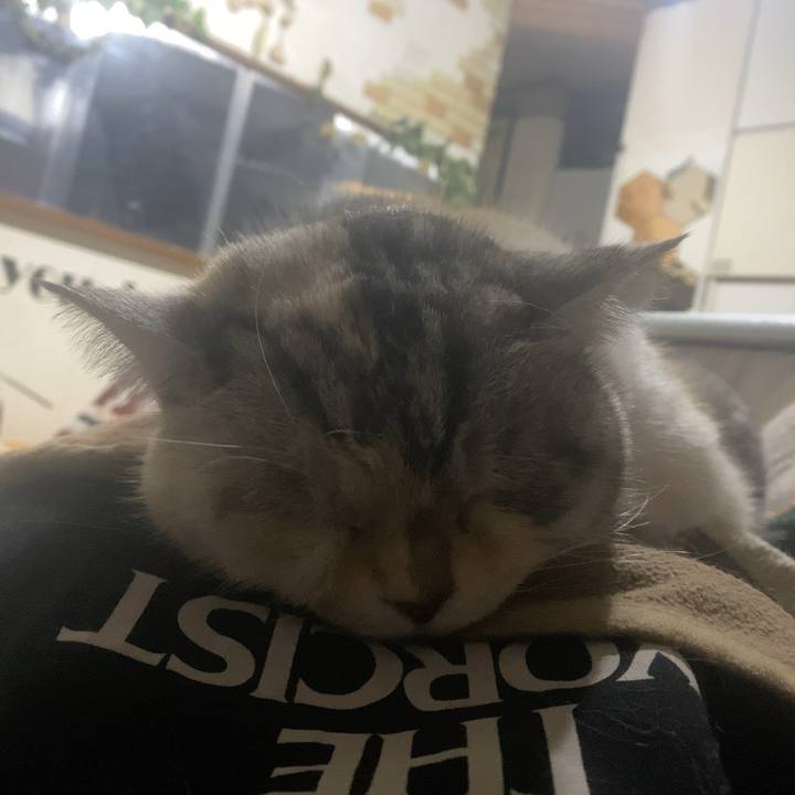 3d2e67cb 3d41 44d7 8914 b85d5ac24363 1736678562049