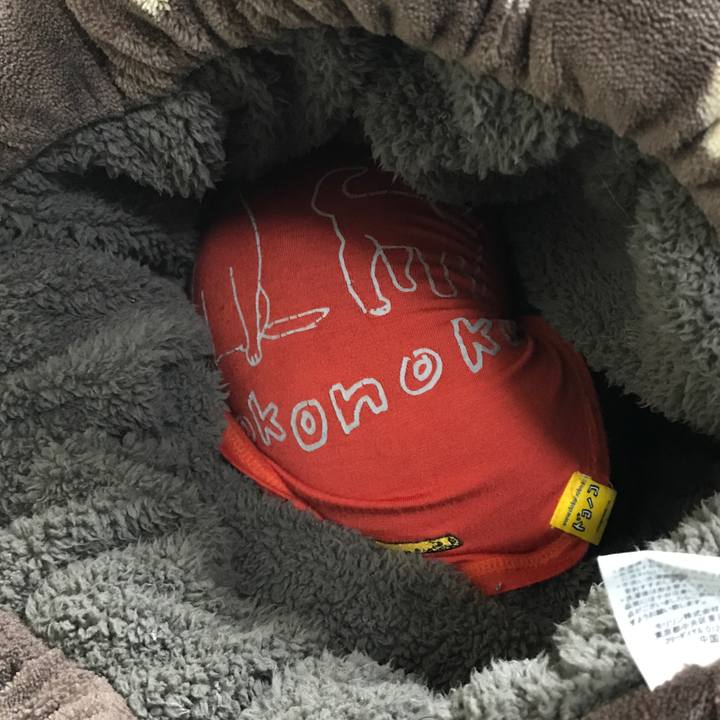 3d2eb487 90aa 4bd5 ab8c 7e400525e469 1518041064460