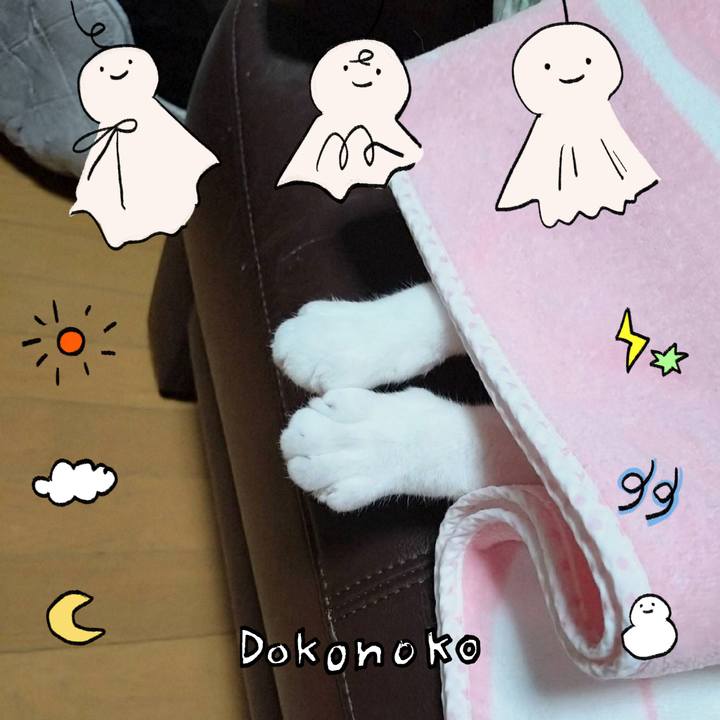 3d2ee498 5457 40cd abf4 7d0472925f44 1749391645546