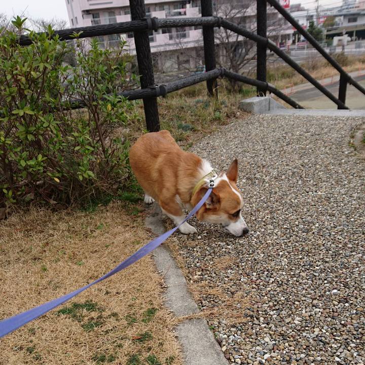 3d2efae0 ae4a 4e52 a6e2 d66b30f57755 1581681710307