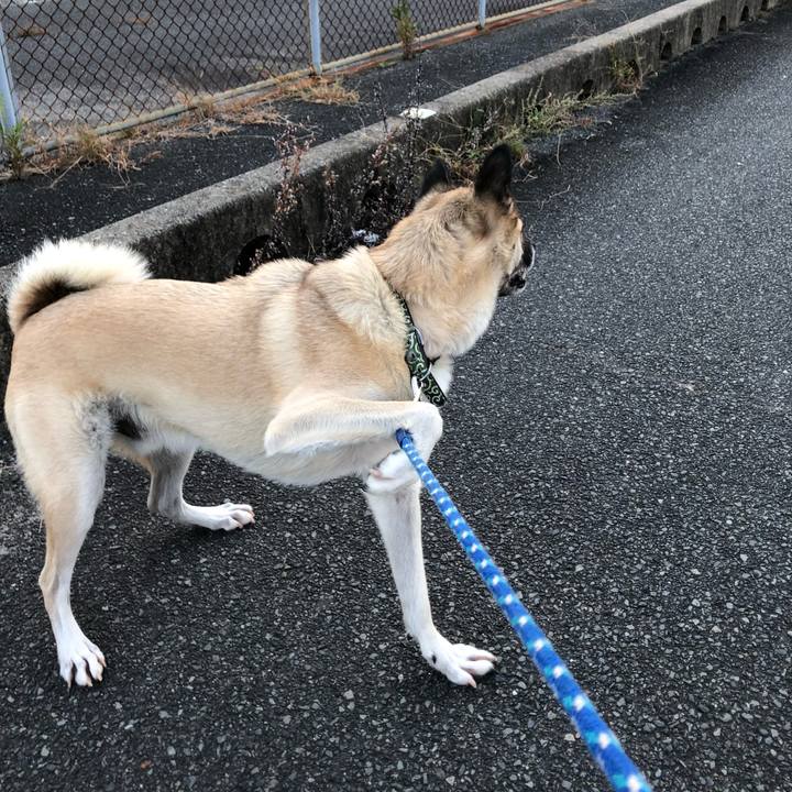 3d2f0a65 bf52 4a66 83fe ddba524cd6f7 1635245481122