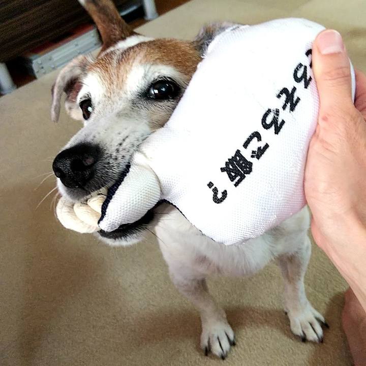 3d2f2ca7 56a6 421f b59e 358c41978421 1593951565890