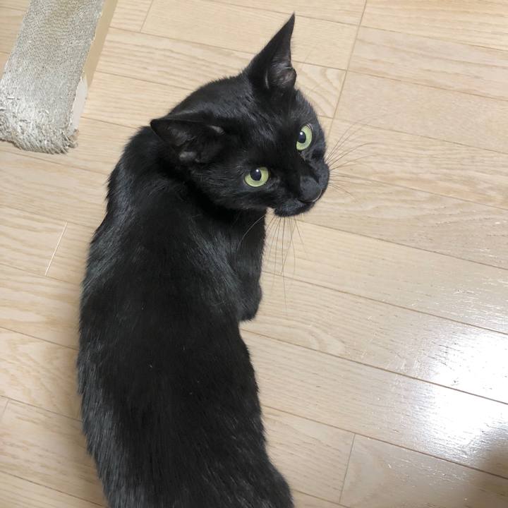 3d2f9308 cae6 47fe 928e 6f04fb0e3e19 1603108205534