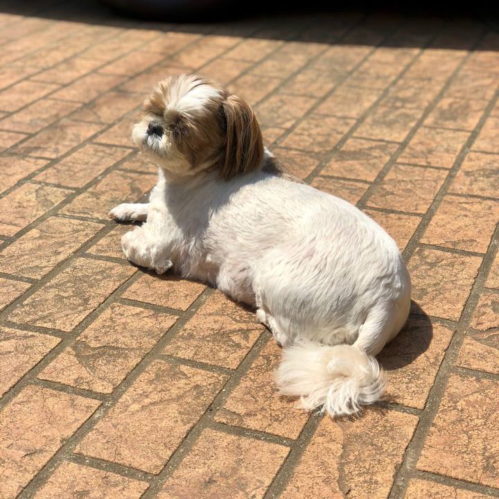 3d2fad76 b17a 486b bc13 d9f13566e65f 1524274054432