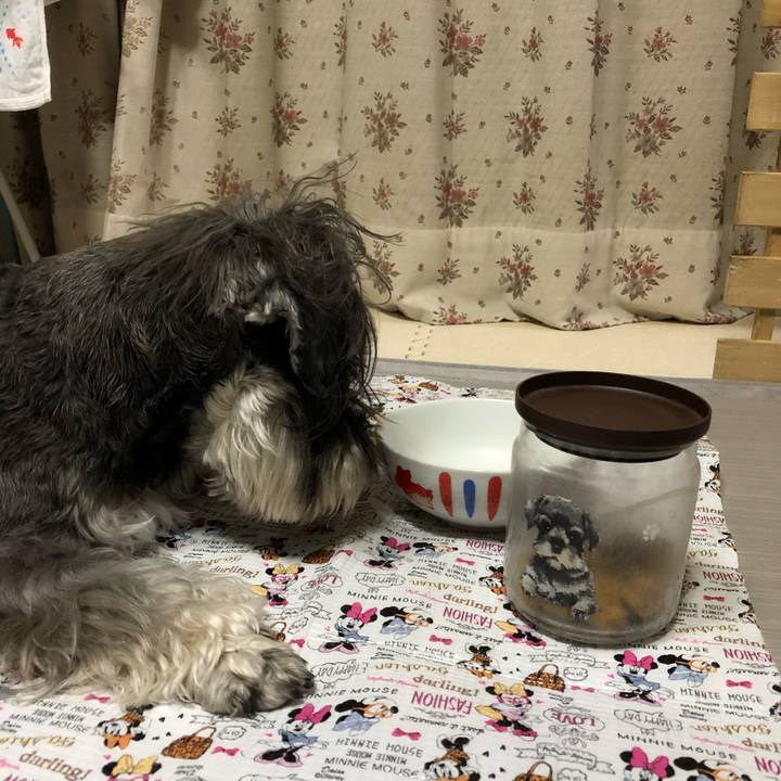 3d2fb827 f556 49fb 9212 e8b1cf51911d 1586097406123