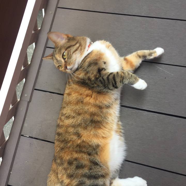 3d2fc463 8a2c 430f 8ebf 4ca2c3d141e4 1555727501604