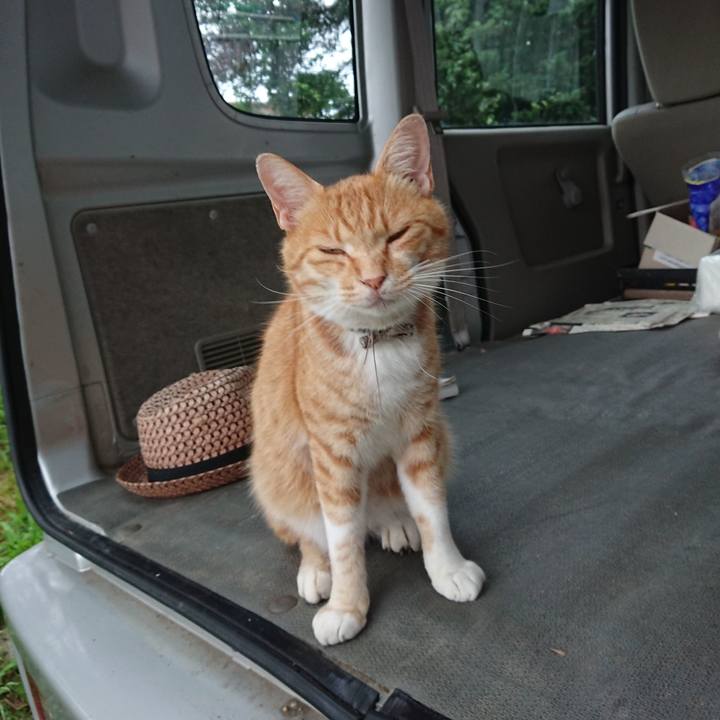 3d2ff5e6 5966 475c bdf1 99966c067f4d 1595577410419