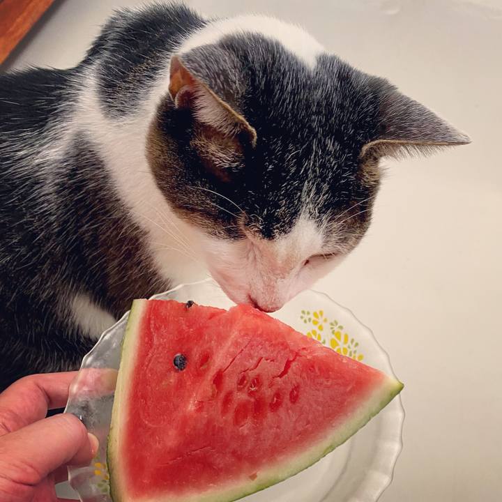 3d2ff997 775c 48a8 9161 e7c5115c614e 1629356486542