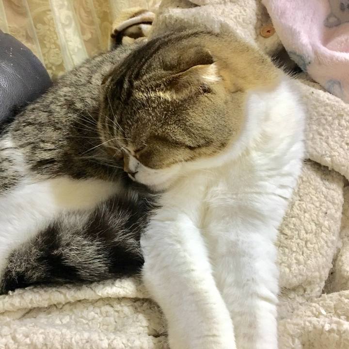 3d301082 670f 4cc5 a61f 1cc69f0068fa 1517238793643