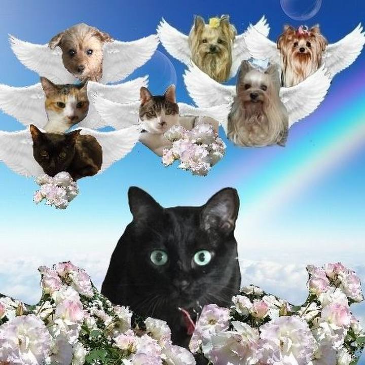 3d301285 282c 4839 bc2e 4e3b27e3def0 1726884898301