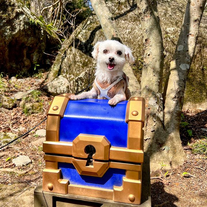 3d30867c e5a6 437f ad68 03bef286b349 1681094963913