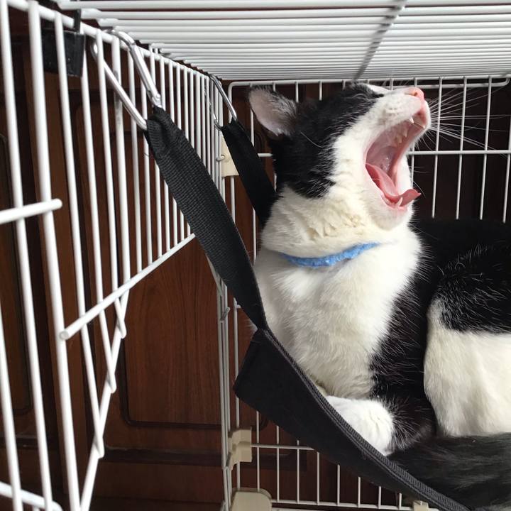 3d30adc1 48af 498d 984c 7db7ec061ae9 1678004776835