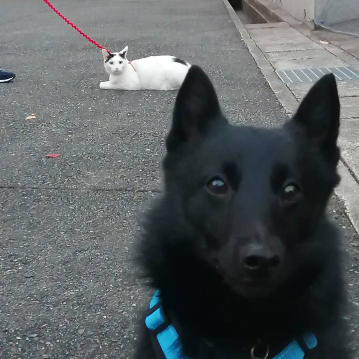 3d30c4b6 f782 4d17 bd9a dcb8d4644502 1637396135097