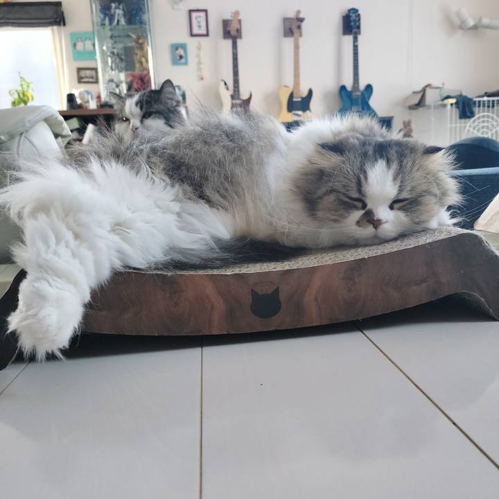 3d30e1e6 24f0 4d1b 94ff 67f8f505ec16 1772928945715