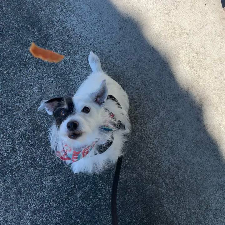 3d30fc0a 4657 4b76 986c 27b573536eb7 1752967442063